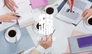 安徽芜湖繁昌区税务咨询提供的四种信息