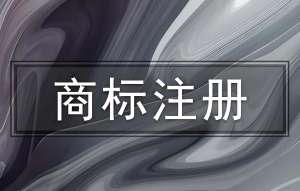 在芜湖市办理商标注册申请,费用是多少？