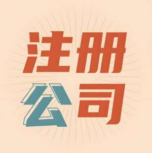 芜湖公司注册资金需要自备还是由公司代缴