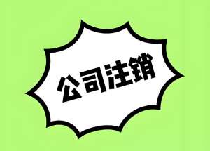 芜湖公司注销所需材料与注意事项大盘点